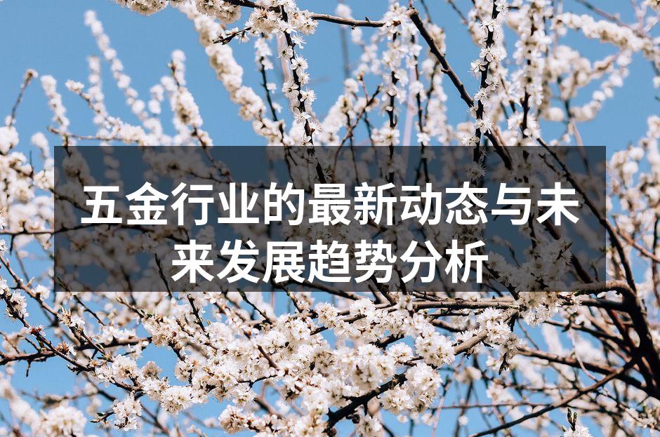 五金行业的最新动态与未来发展趋势分析